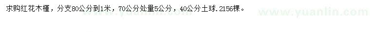 求购70量5公分红花木槿