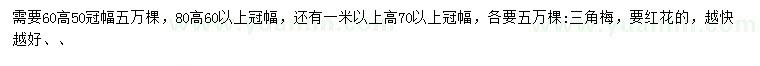 求购高60、80、100公分以上三角梅