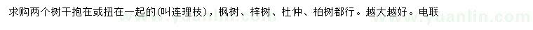 求购枫树、梓树、杜仲等