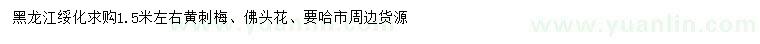 求购1.5米黄刺梅、佛头花