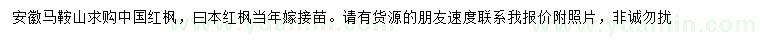 求购中国红枫、日本红枫