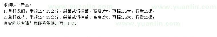 求购米径12-13公分龙眼树、荔枝树