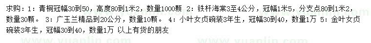 求购青桐、铁杆海棠、广玉兰等