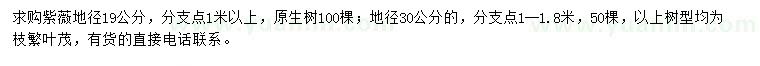 求购地径19、30公分紫薇