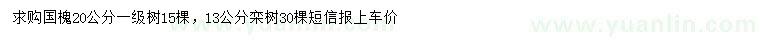 求购20公分国槐、13公分栾树