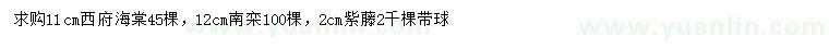 求购西府海棠、南栾、紫藤