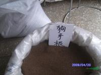 狗牙根种子供應/狗牙根种子图片