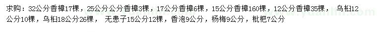 求购香樟、乌桕、无患子等