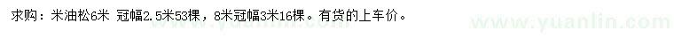 求购6、8米米油松