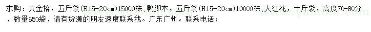 求购黄金榕、鸭脚木、大红花