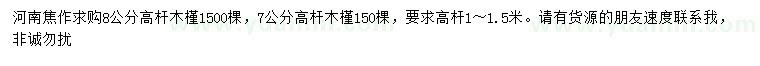 求购7、8公分高杆木槿