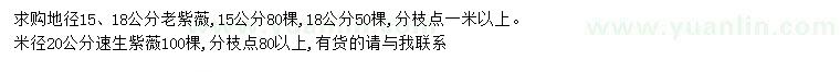 求购地径15、18公分老紫薇、米径20速生紫薇