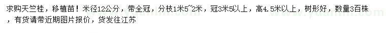 求购米径12公分天竺桂