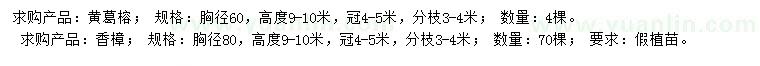 求购胸径60公分黄葛榕、80公分香樟