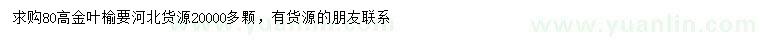 求购高80公分金叶榆