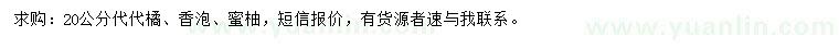 求购代代橘、香泡、蜜柚