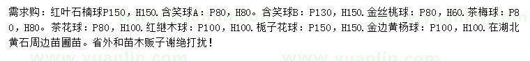 求购红叶石楠球、含笑球、金丝桃球等