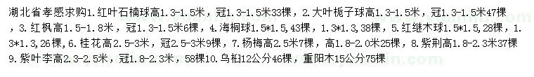 求购红叶石楠、大叶栀子、红枫等