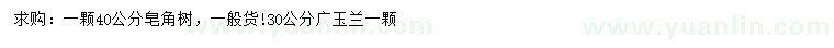 求购40公分皂角树、30公分广玉兰