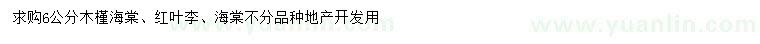 求购木槿、海棠、红叶李