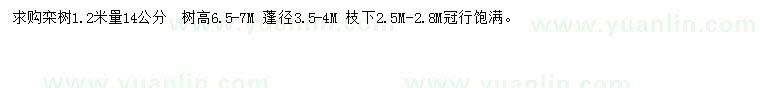 求购1.2米量14公分栾树