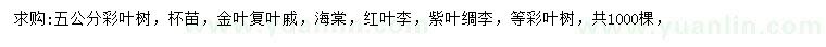 求购彩叶树、金叶复叶槭、海棠等