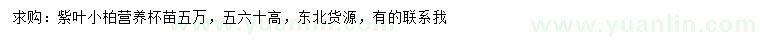 求购高50、60公分紫叶小檗