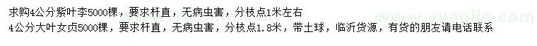 求购4公分紫叶李、大叶女贞