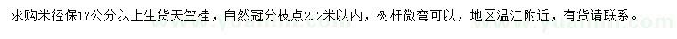 求购米径17公分以上天竺桂