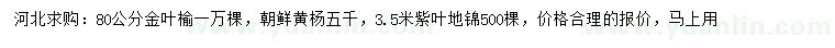 求购金叶榆、朝鲜黄杨、紫叶地锦