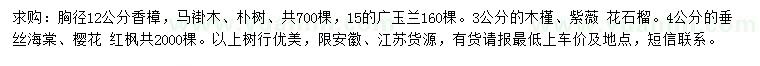 求购香樟、马褂木、朴树等