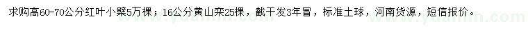 求购高60-70公分红叶小檗、16公分黄山栾