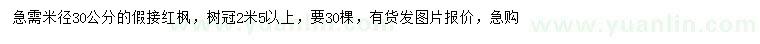 求购米径30公分红枫