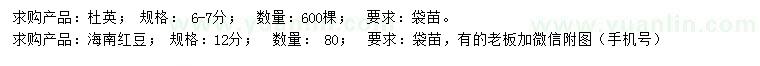 求购6-7公分杜英、12公分海南红豆杉