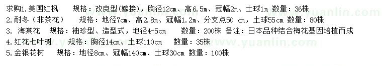 求购美国红枫、耐冬、海棠等