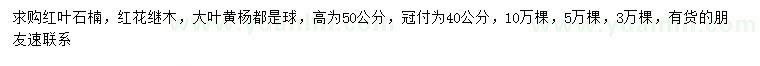 求购红叶石楠、红花继木、大叶黄杨