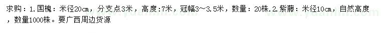 求购米径20公分国槐、10公分紫藤