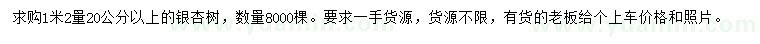 求购1.2米量20公分以上银杏