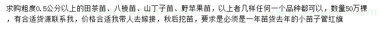 求购田茶苗、八棱苗、山丁子苗等