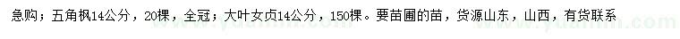 求购14公分五角枫、大叶女贞