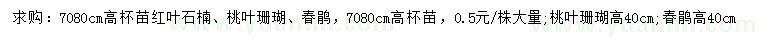 求购红叶石楠、桃叶珊瑚、春鹃