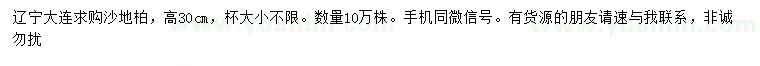 求购高30公分沙地柏