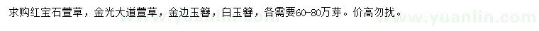 求购红宝石萱草、金光大道萱草、金边玉簪等