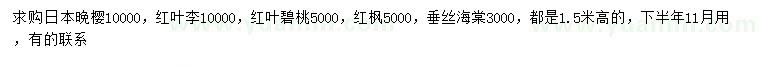 求购日本晚樱、红叶李、红叶碧桃等