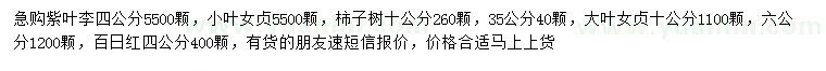 求购紫叶李、小叶女贞、柿子树等