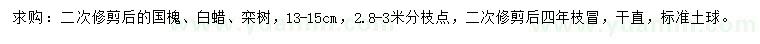 求购国槐、白蜡、栾树