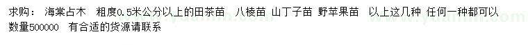 求购海棠占木、八棱苗、山丁子苗等