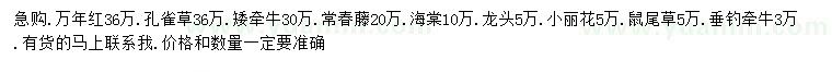 求购万年红、孔雀草、矮牵牛等