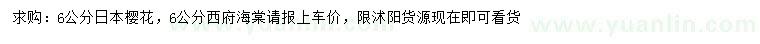 求购6公分日本樱花、西府海棠