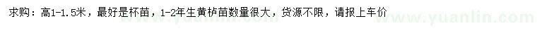 求购高1-1.5米黄栌